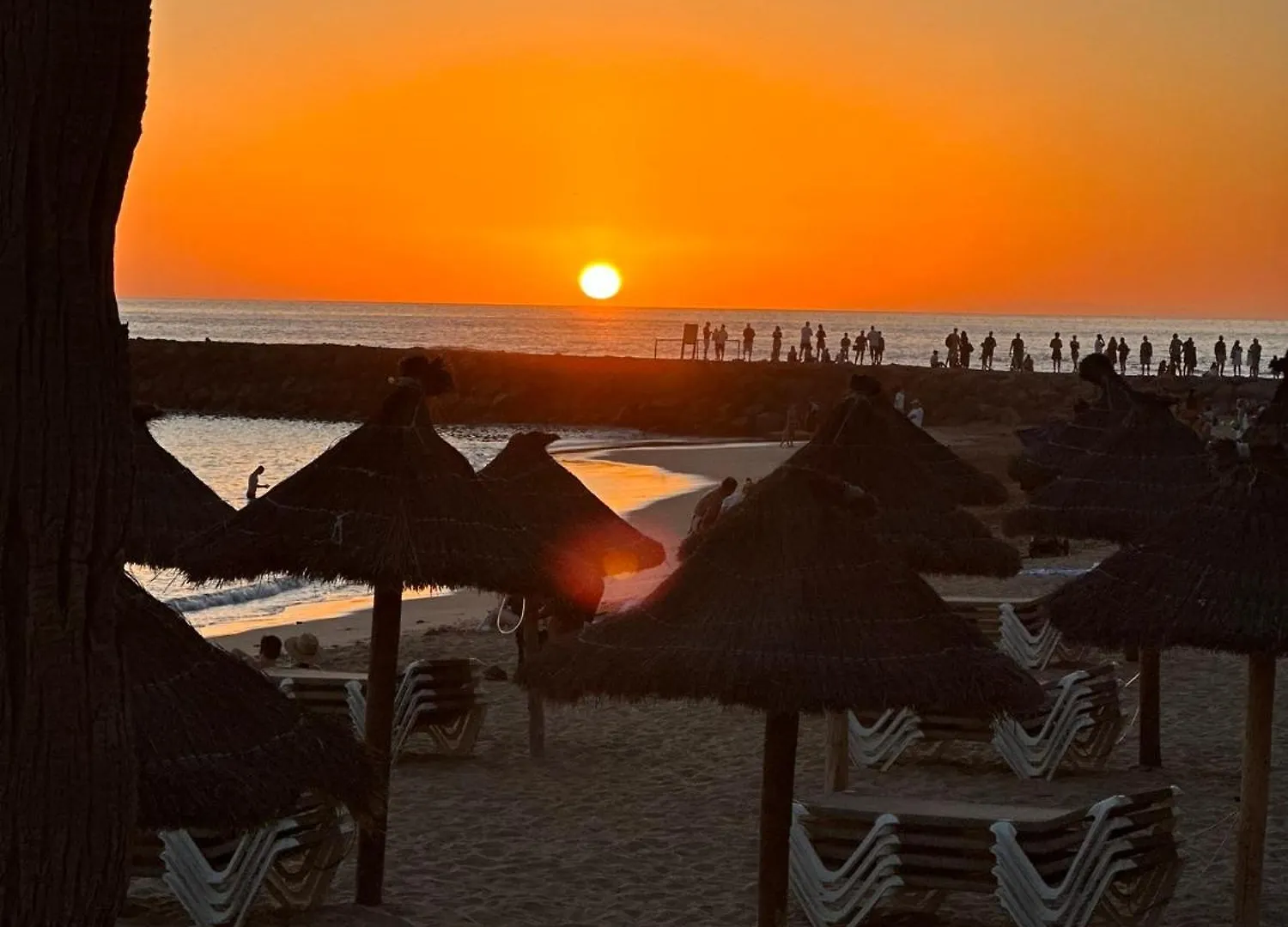 Studio 2 Personnes Tenerife Sud San Eugenio Costa Adeje